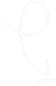 Arrow icon